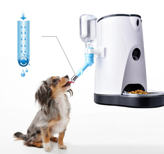 Pet automatic feeder - shoptrendbeast.com