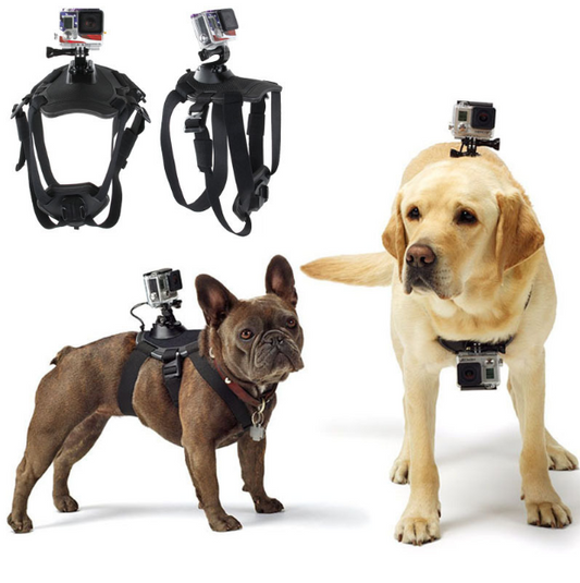 GoPro Hero Dog Strap Belt Harness - shoptrendbeast.com