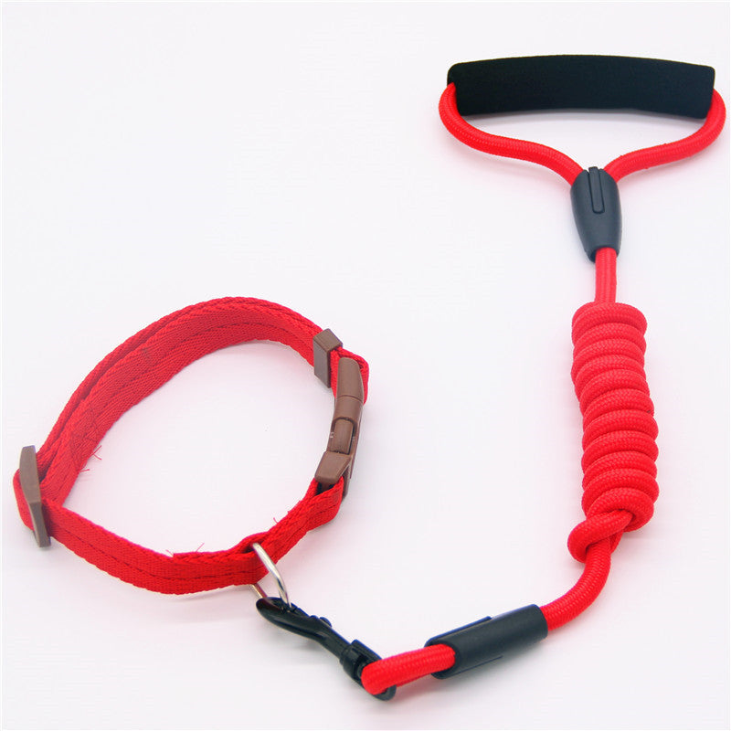 Pet Leash Dog Collar, Dog Leash, Dog Chain - shoptrendbeast.com