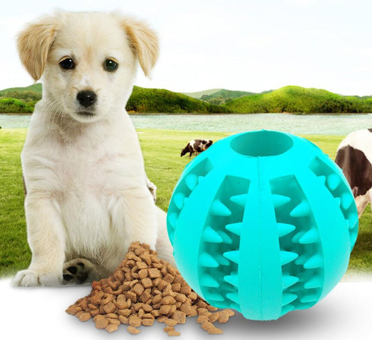 Pet Slow Feeder Dog Toy Cute Funny Rubber Dog Ball Toy - shoptrendbeast.com