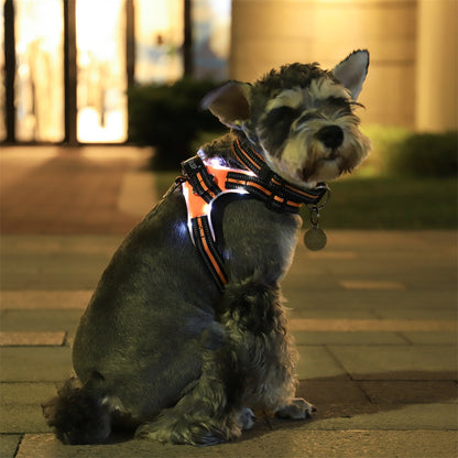 Glowing dog collar - shoptrendbeast.com