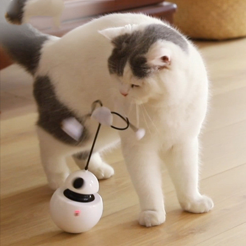 Electric cat toy funny cat toy - shoptrendbeast.com