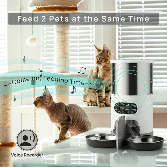 Automatic chqiue pet feeder - shoptrendbeast.com