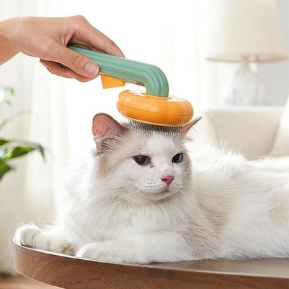 Foody Popz™ - Pet Pumpkin Brush