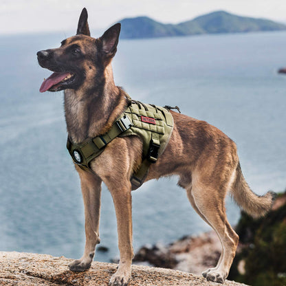 Dog Harness, Tactical Dog Harness No-Pull Breathable Adjustable Pet Vest with Handle for Outdoor Walking(Ranger Green,Small)